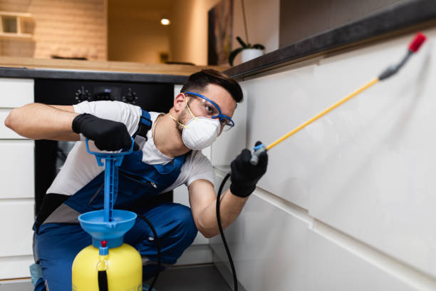 Best Cockroach Control Services  in Moss Point, MS