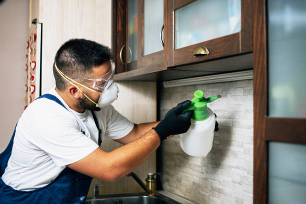  Moss Point, MS Pest Control Pros