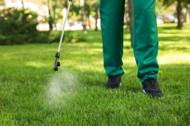 Best Pest Control for Homes  in Moss Point, MS