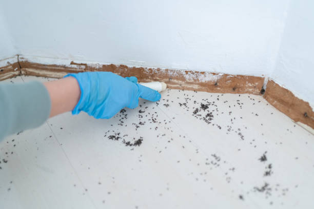 Wildlife Control Services in Moss Point, MS
