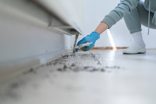 Trusted Moss Point, MS Pest Control Experts